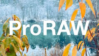 حالت ProRAW چیست؟