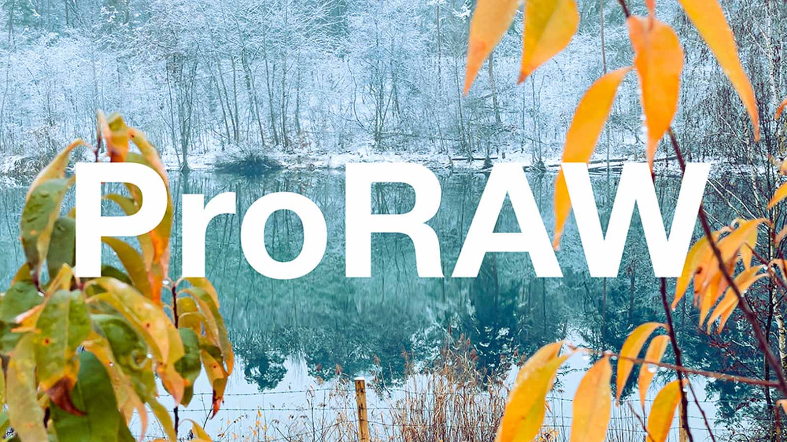 حالت ProRAW چیست؟